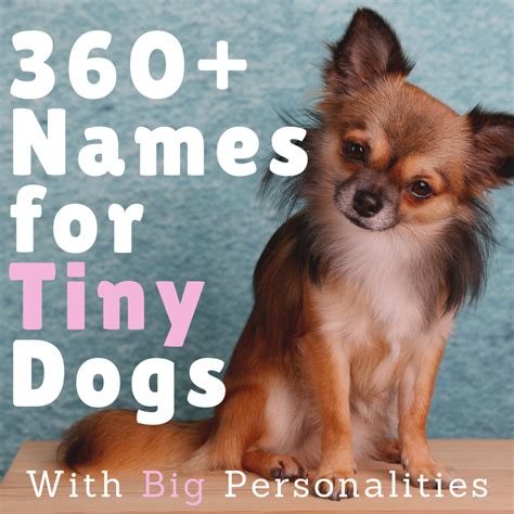 names that mean tiny|cute names for small things.